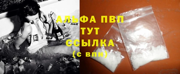 гашик Осинники