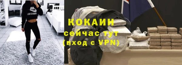твердый Осташков