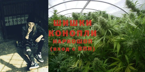 твердый Осташков