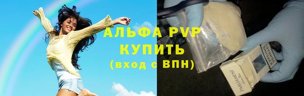 гашик Осинники