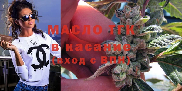 гашик Осинники