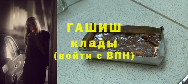 гашик Осинники
