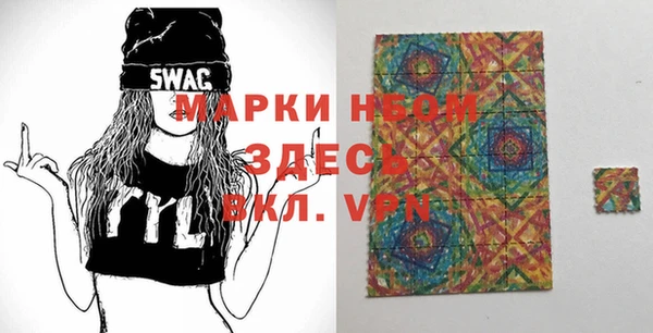 гашик Осинники