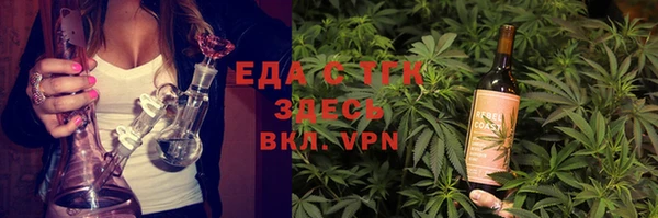 гашик Осинники