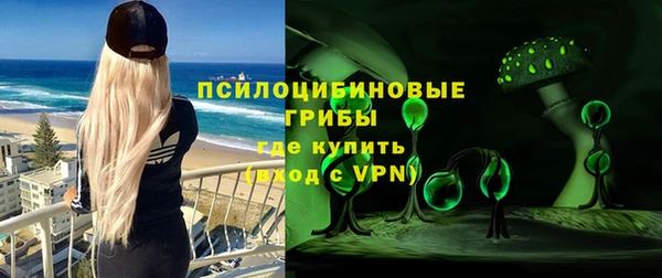 гашик Осинники