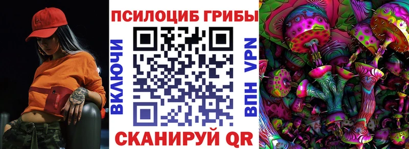 закладка  маркетплейс как зайти  Галлюциногенные грибы Cubensis  Азнакаево 