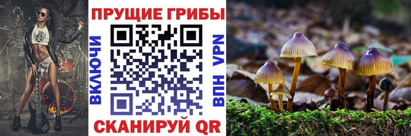 Псилоцибиновые грибы Psilocybe Азнакаево